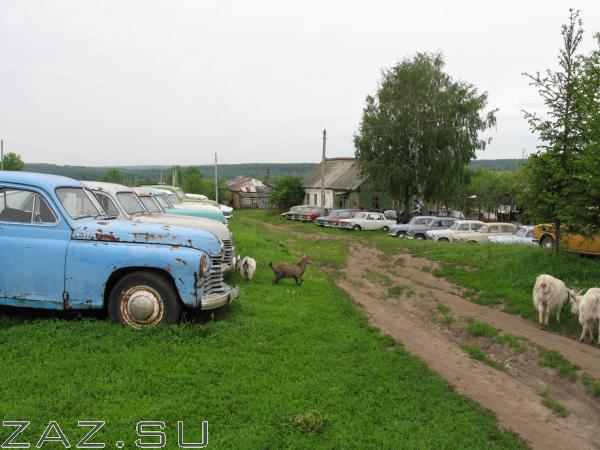 Img 1549 Img 1549