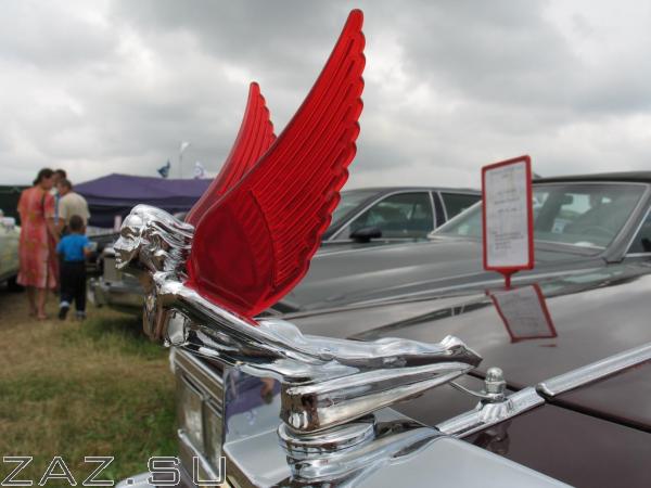 Img 2095 Img 2095
