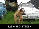 Img 1544